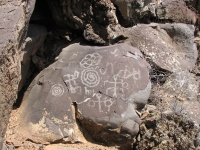 Lots of petroglyphs at Nampaweap